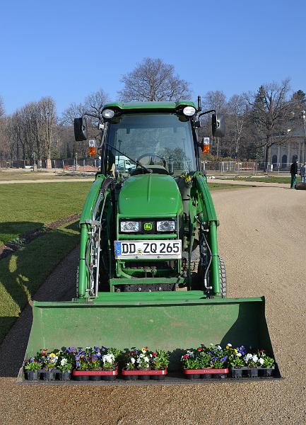 Pillnitz (66).JPG